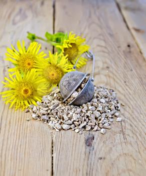 Metal sieve with elecampane root, fresh yellow flowers Elecampane on background of wooden boards