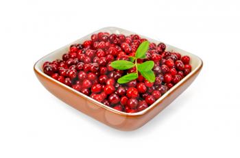 Ripe red cowberry, sprig with berries and leaves in a bowl isolated on white background