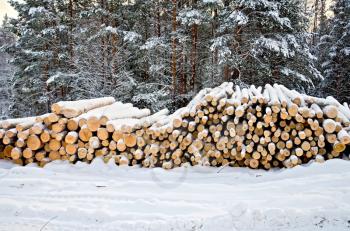 Stack of wood in the winter on a background of trees, snow, sky