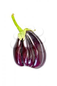 Eggplant purple with green stem isolated on white background