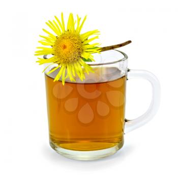 Herbal tea with elecampane in glass mug isolated on white background