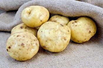 A pile of yellow potato tubers on sacking