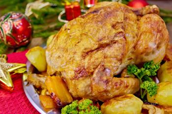 Chicken baked with vegetables and apples on a metal plate, red and gold Christmas toys, napkin, spruce twigs on a wooden boards background