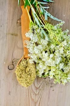 Wooden spoon with dried flowers of meadowsweet, a bouquet of fresh flowers of meadowsweet on a wooden boards background