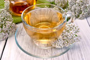 Yarrow tea in a glass cup and teapot, fresh yarrow flowers on a background of light wooden plank