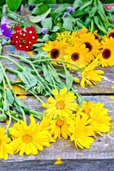 Yellow calendula, verbena on the background of old boards