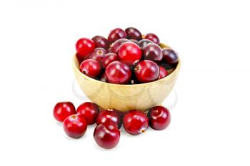 Cranberries ripe in wooden bowl isolated on white background