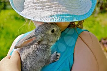 Little gray rabbit in the hands of a girl in a large wicker hat