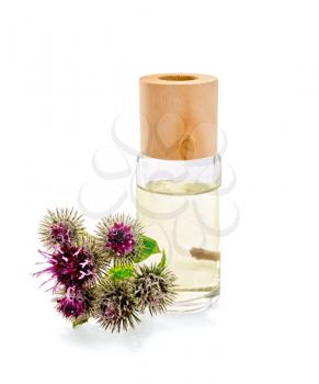 One oil bottle with flowers and leaves of burdock isolated on white background