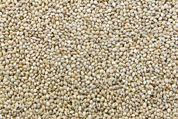 The texture of a brown hemp seed