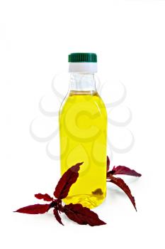 One plastic bottle of oil with two branches maroon amaranth isolated on white backgroun