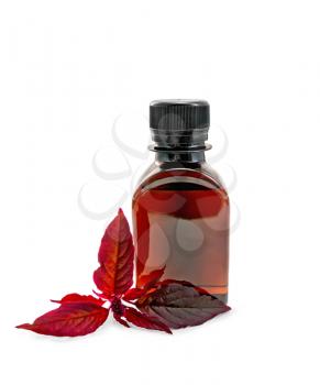 A brown oil bottle with a branch burgundy amaranth isolated on white background