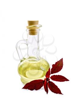 Decanter with vegetable oil and a sprig of maroon amaranth isolated on white background
