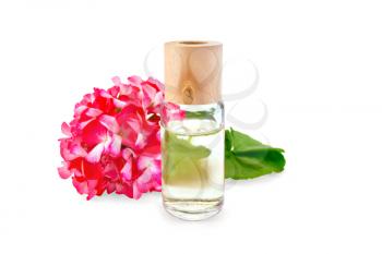 One oil bottle with green leaf and flower of pink geranium isolated on white background