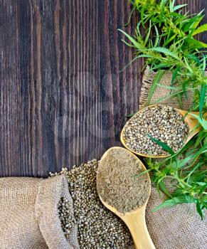Flour and hemp seeds in a spoon, green twigs of cannabis on sackcloth background on dark wooden board
