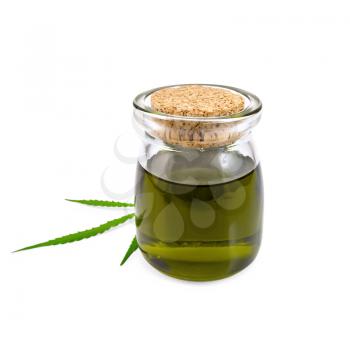 Hemp oil in a glass jar with a leaf isolated on white background