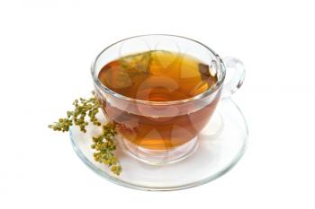 Herbal tea from wormwood in a glass cup on a saucer, gray sagebrush sprig isolated on a white background