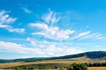 Summer landscape with field, trees on a hill, blue sky and white clouds
