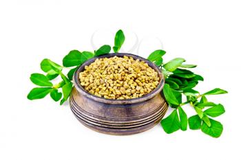 Fenugreek seeds in a bowl with green leaves isolated on white background
