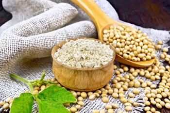 Soy flour in the bowl, soybeans in a spoon and on sackcloth, green soya leaf on a wooden board background
