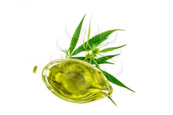 Hemp oil in a glass sauceboat, cannabis leaves and stalks  isolated on white background from above
