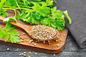 Coriander seeds in a spoon, green fresh cilantro and a napkin on black wooden board background