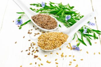 Flaxseeds white and brown in two spoons, stalks of flax with flowers and leaves on a background of light wooden board