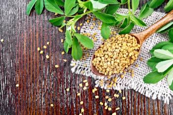 Fenugreek seeds in a spoon on a burlap napkin with green leaves on wooden board background from above