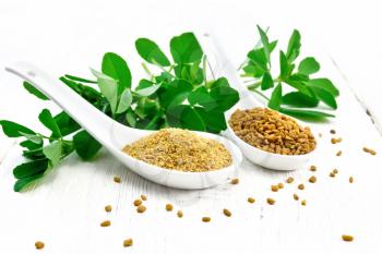 Fenugreek seeds and ground spice in two spoons and on a table with green leaves on background of light wooden board