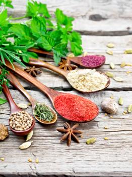 Hot pepper, ginger, coriander, dried thyme and sumac in spoons, nutmeg, cardamom, star anise and fenugreek, rosemary, parsley, thyme, mint and savory on gray wooden board background