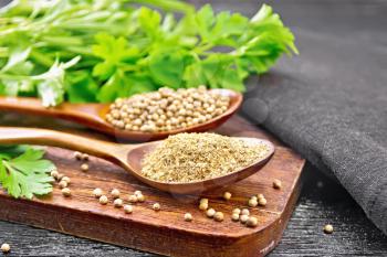 Coriander seeds and ground in two spoons, green fresh cilantro and a napkin on black wooden board background