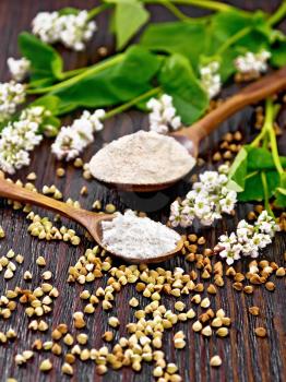 Buckwheat flour from green and brown cereals in two spoons, flowers and buckwheat leaves on the background of a dark wooden board