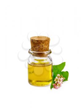 Buckwheat oil in a glass bottle, flowers and buckwheat leaves isolated on white background