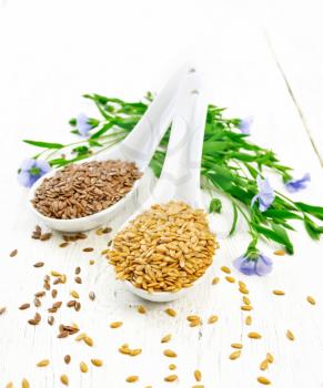 Linen seeds white and brown in two spoons, stalks of flax with blue flowers and green leaves on a wooden board background