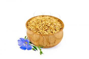 White flaxseeds in wooden bowl with blue flower isolated on white background