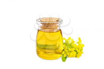 Mustard oil in a glass jar, yellow mustard flowers isolated on white background