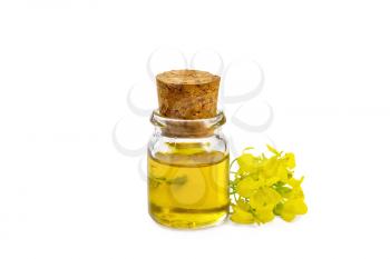 Mustard oil in a glass bottle, yellow mustard flowers isolated on white background