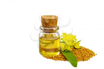 Mustard oil in a glass bottle, mustard seeds and yellow flowers isolated on white background
