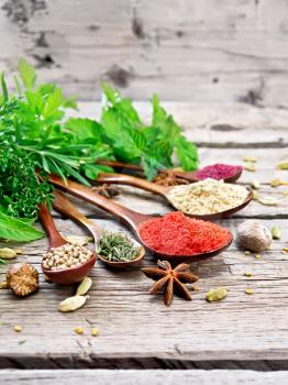 Hot pepper, ginger, coriander, dried thyme and sumac in spoons, nutmeg, cardamom, star anise and fenugreek, rosemary, parsley, thyme, mint and savory on background of gray old wooden board