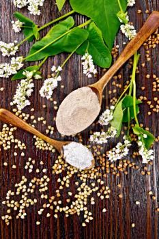 Buckwheat flour from brown and green cereals in two spoons, flowers and leaves on the background of a dark wooden board from above
