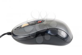 Royalty Free Photo of a Computer Mouse