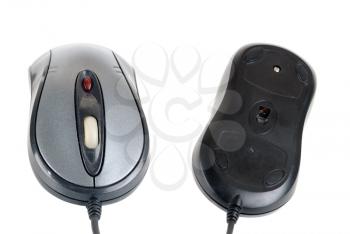 Royalty Free Photo of Two Computer Mouses