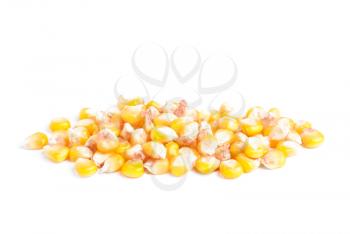 Royalty Free Photo of Corn Kernels