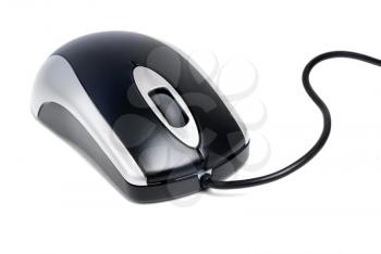 Royalty Free Photo of a Computer Mouse
