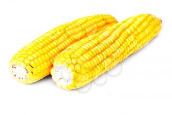 Royalty Free Photo of Two Cobs of Corn