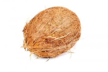 Royalty Free Photo of a Coconut