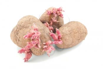 Royalty Free Photo of Seeded Potato