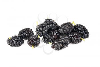mulberry fruits isolated on white macro 
