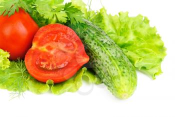 fresh vegetables (salad, cucumber, lettuce)  isolated  on  white

