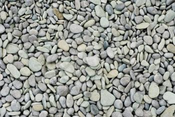 Pebble  as  nature  background 

